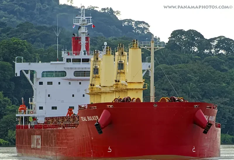 TEAL BULKER Bulk Carrier IMO 9668908 photo 2
