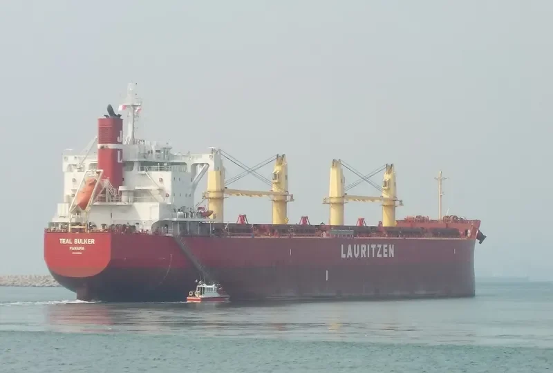 TEAL BULKER Bulk Carrier IMO 9668908 photo 3