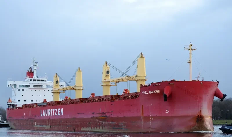 TEAL BULKER Bulk Carrier IMO 9668908 photo 4