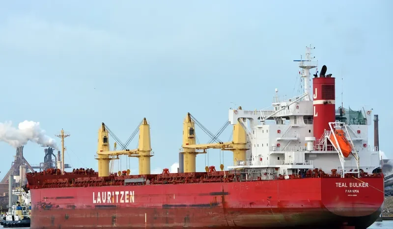 TEAL BULKER Bulk Carrier IMO 9668908 photo 5
