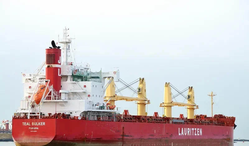 TEAL BULKER Bulk Carrier IMO 9668908 photo 6