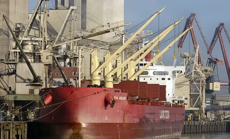 TEAL BULKER Bulk Carrier IMO 9668908 photo 7