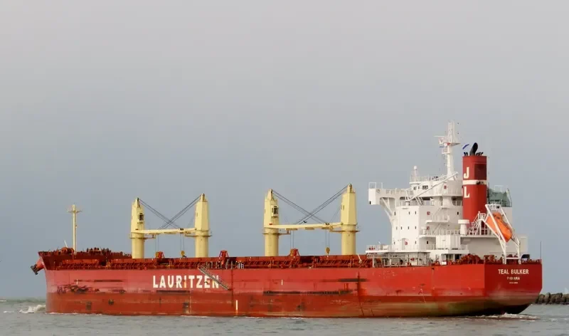 TEAL BULKER Bulk Carrier IMO 9668908 photo 8