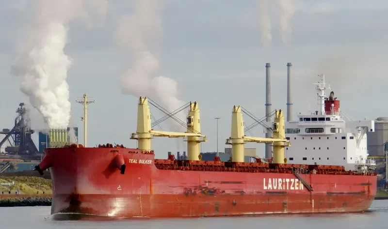 TEAL BULKER Bulk Carrier IMO 9668908 photo 9