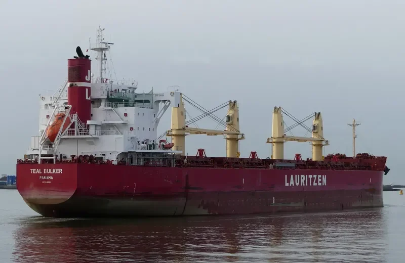TEAL BULKER Bulk Carrier IMO 9668908 photo 10