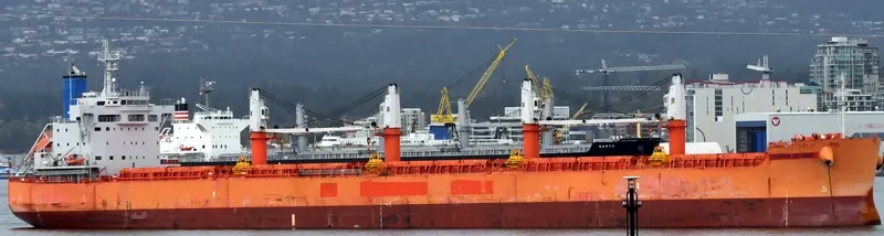 COOPER ISLAND Bulk Carrier IMO 9668910
