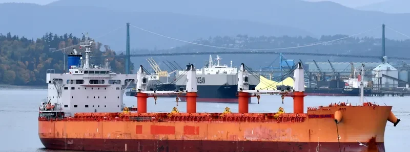 COOPER ISLAND Bulk Carrier IMO 9668910 photo 2