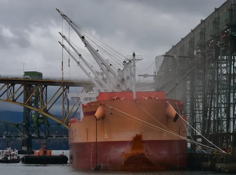 COOPER ISLAND Bulk Carrier IMO 9668910 photo 3