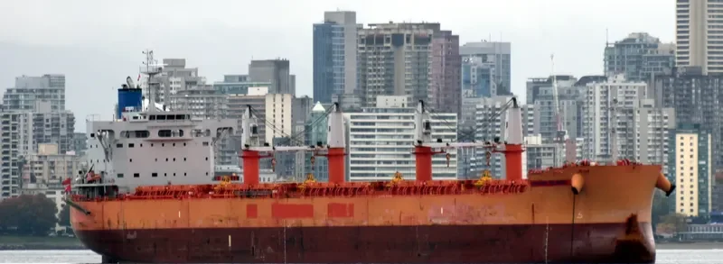 COOPER ISLAND Bulk Carrier IMO 9668910 photo 4