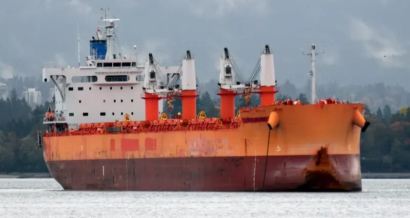 COOPER ISLAND Bulk Carrier IMO 9668910 photo 5