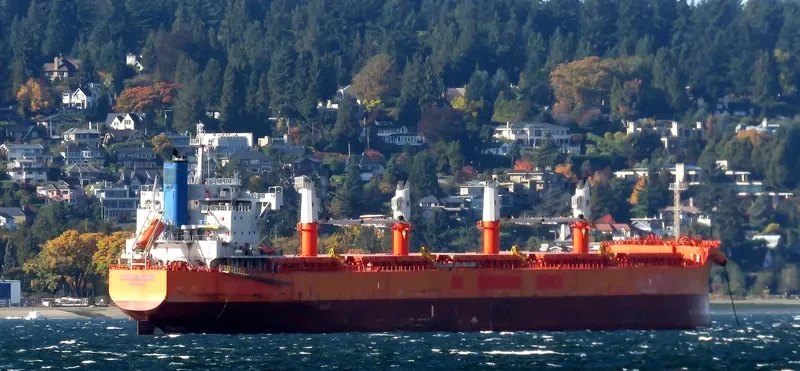 COOPER ISLAND Bulk Carrier IMO 9668910 photo 6