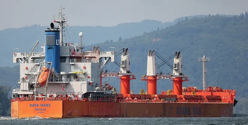 COOPER ISLAND Bulk Carrier IMO 9668910 photo 7