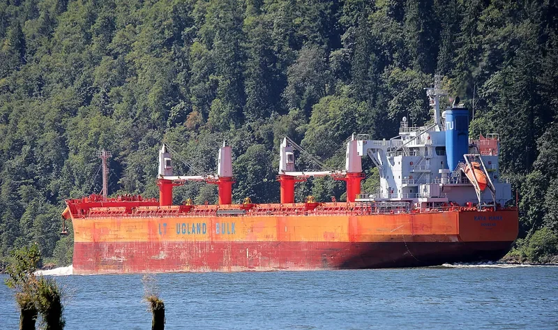 COOPER ISLAND Bulk Carrier IMO 9668910 photo 8