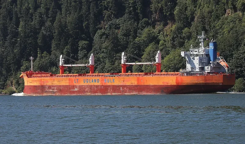 COOPER ISLAND Bulk Carrier IMO 9668910 photo 9
