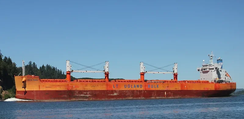 COOPER ISLAND Bulk Carrier IMO 9668910 photo 10