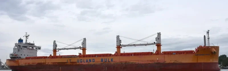 PELICAN ISLAND Bulk Carrier IMO 9668922 photo 2