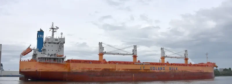 PELICAN ISLAND Bulk Carrier IMO 9668922 photo 4
