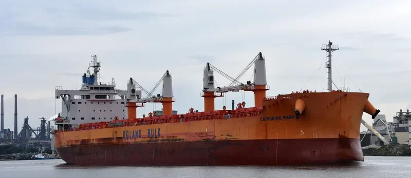 PELICAN ISLAND Bulk Carrier IMO 9668922 photo 5