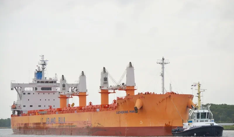 PELICAN ISLAND Bulk Carrier IMO 9668922 photo 7