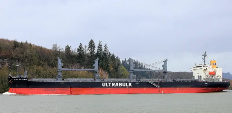 UNITY ODYSSEY Bulk Carrier IMO 9668934 photo 6