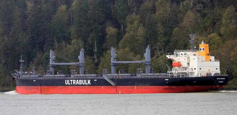 UNITY ODYSSEY Bulk Carrier IMO 9668934 photo 17