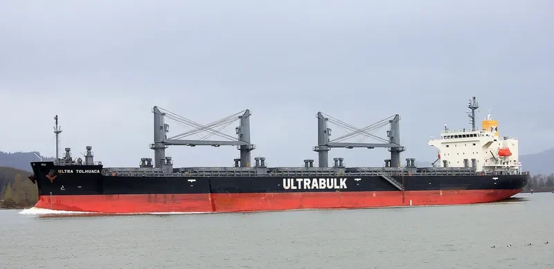 UNITY ODYSSEY Bulk Carrier IMO 9668934 photo 23