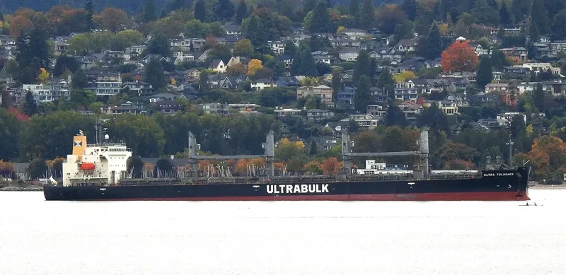 UNITY ODYSSEY Bulk Carrier IMO 9668934 photo 39
