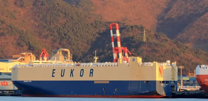 MORNING POST General Cargo IMO 9669029 photo 4