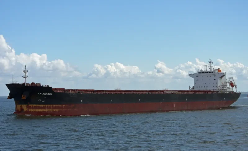 AM ANNABA Bulk Carrier IMO 9669330
