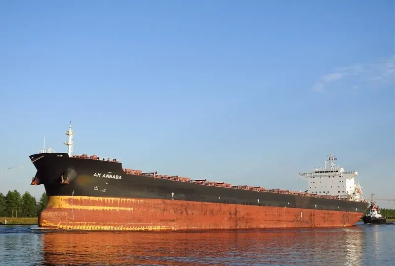 AM ANNABA Bulk Carrier IMO 9669330 photo 2