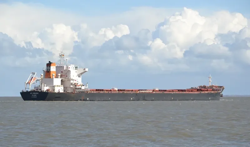 AM ANNABA Bulk Carrier IMO 9669330 photo 3