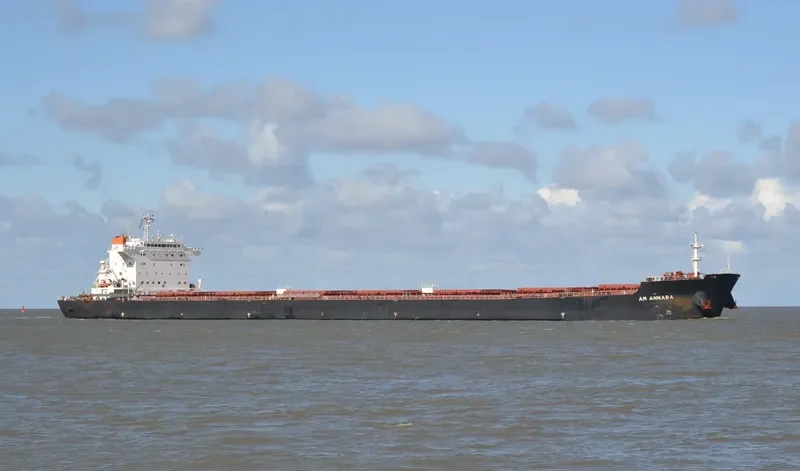 AM ANNABA Bulk Carrier IMO 9669330 photo 4