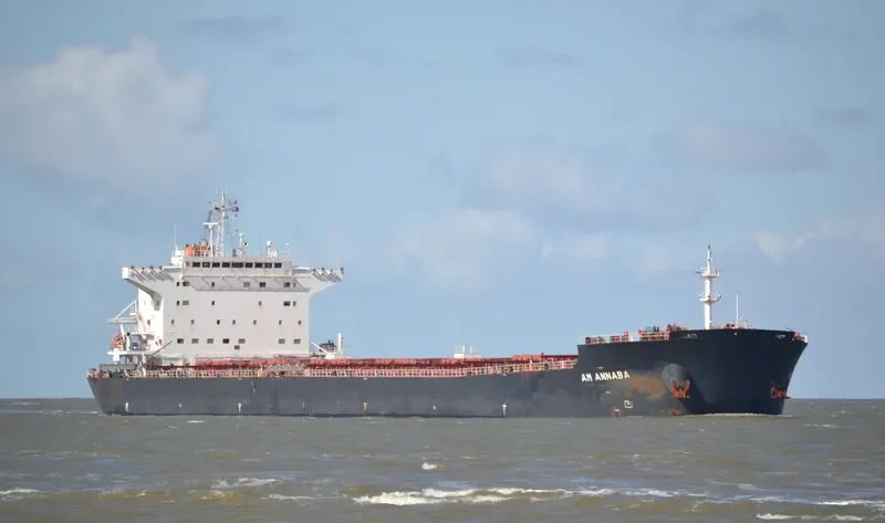 AM ANNABA Bulk Carrier IMO 9669330 photo 5