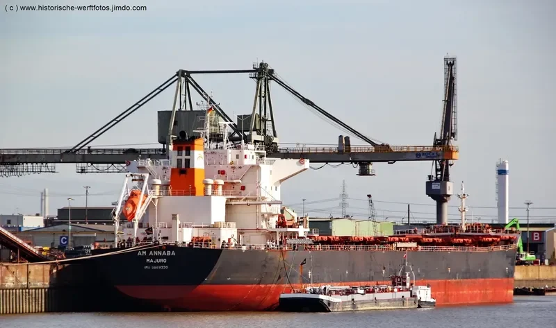 AM ANNABA Bulk Carrier IMO 9669330 photo 7