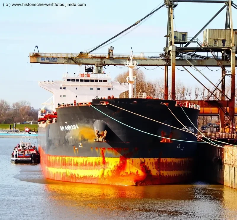 AM ANNABA Bulk Carrier IMO 9669330 photo 8