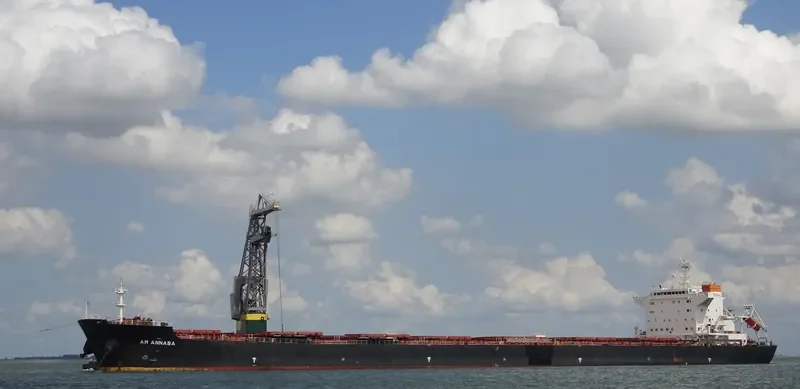 AM ANNABA Bulk Carrier IMO 9669330 photo 9