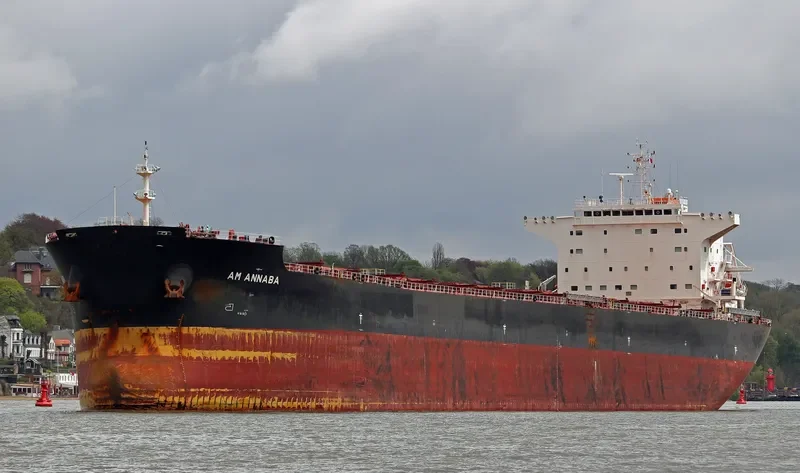 AM ANNABA Bulk Carrier IMO 9669330 photo 10