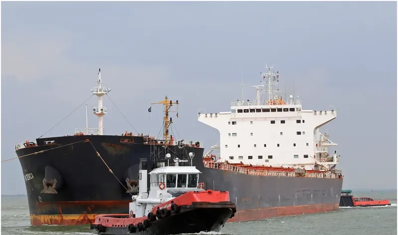 AM ZENICA Bulk Carrier IMO 9669342 photo 3