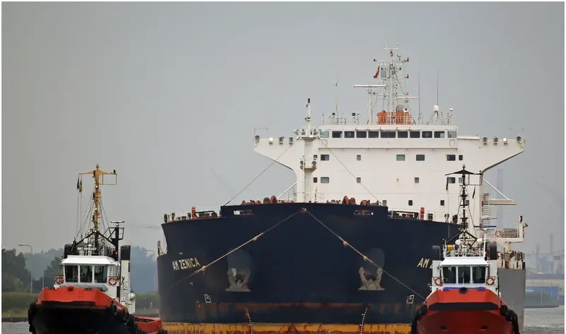 AM ZENICA Bulk Carrier IMO 9669342 photo 5
