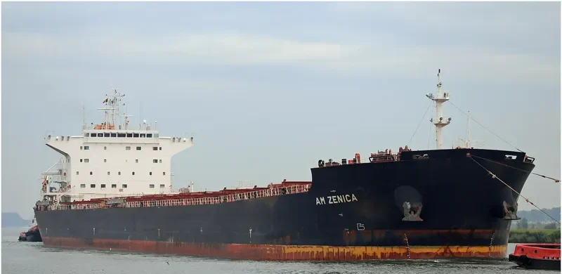 AM ZENICA Bulk Carrier IMO 9669342 photo 6