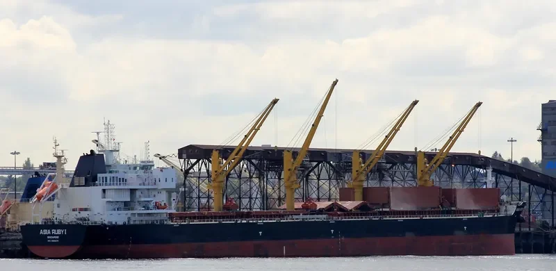 COMMON ATLAS Bulk Carrier IMO 9669378 photo 4