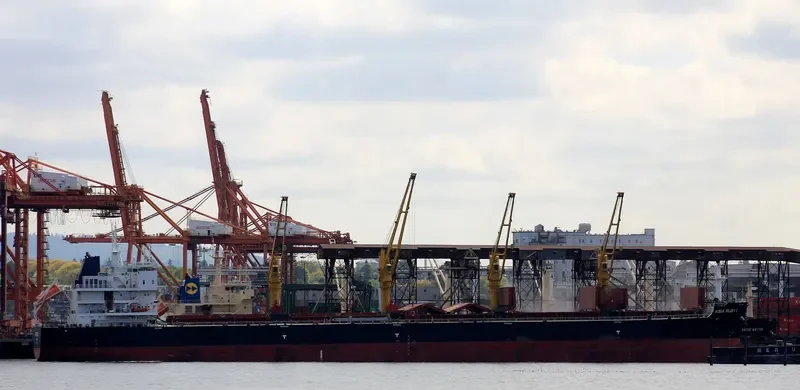COMMON ATLAS Bulk Carrier IMO 9669378 photo 5