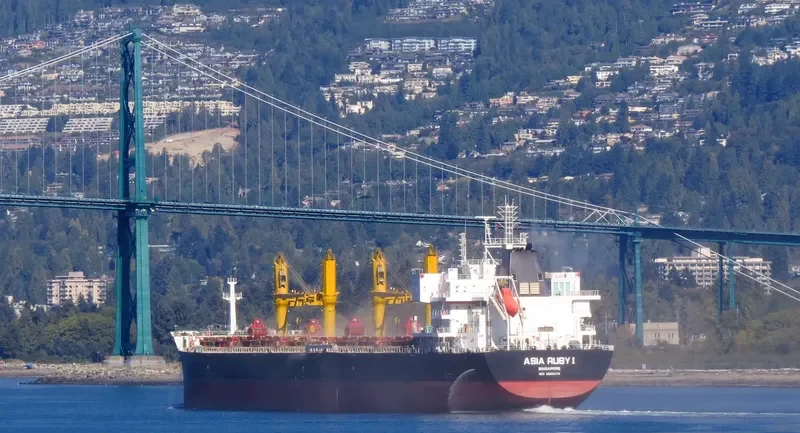COMMON ATLAS Bulk Carrier IMO 9669378 photo 9