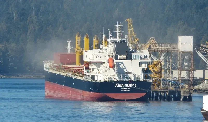 COMMON ATLAS Bulk Carrier IMO 9669378 photo 10