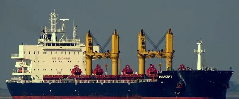 GOOD HEART Bulk Carrier IMO 9669380 photo 2