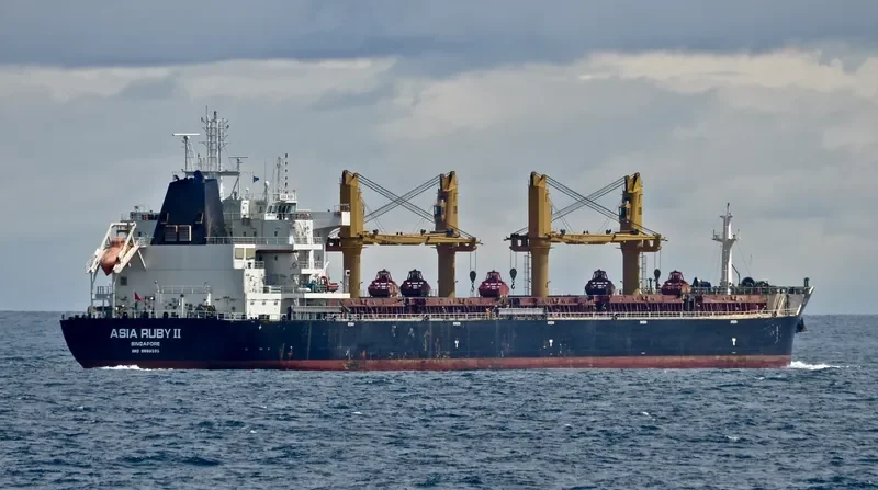 GOOD HEART Bulk Carrier IMO 9669380 photo 3
