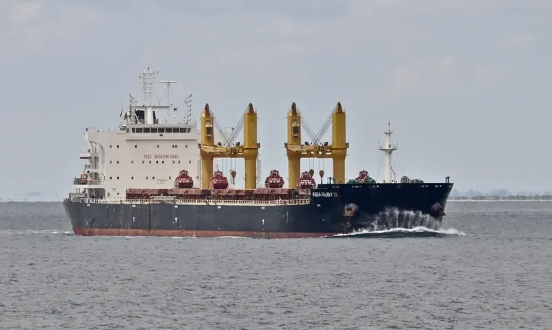 GOOD HEART Bulk Carrier IMO 9669380 photo 4