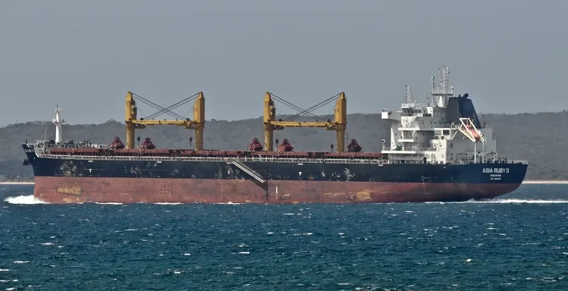 GOOD HEART Bulk Carrier IMO 9669380 photo 6