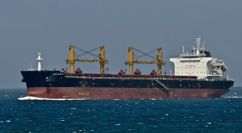 GOOD HEART Bulk Carrier IMO 9669380 photo 7