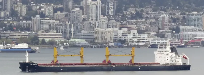 GOOD HEART Bulk Carrier IMO 9669380 photo 10